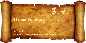 Blumm Amadea névjegykártya